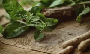 Zielone liście i korzenie, być może ashwagandha, na drewnianym tle. Mogą wspierać tarczycę.