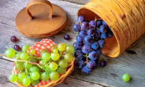 Zielone i fioletowe winogrona, czy są zdrowe? Kaskada ciemnych owoców z brzozowego koszyka i pęczek zielonych w koszyczku.