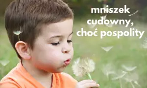 Chłopiec dmucha w dmuchawiec, który symbolizuje mniszek lekarski właściwości.