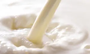 Strumień mleka koziego, znanego z cennych właściwości, tworzy fale i bąbelki w białej, kremowej masie.