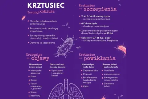 Szczepienia to najlepsza ochrona, co pomaga na krztusiec. Informacje o objawach, powikłaniach i harmonogramie szczepień.