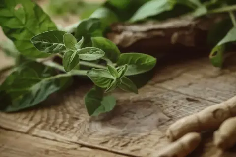 Zielone liście i korzenie, być może ashwagandha, na drewnianym tle. Mogą wspierać tarczycę.