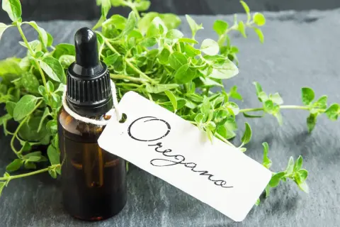 Butelka olejku z oregano, obok świeżych gałązek. Olejek z oregano na co? Na zdrowie i odporność.