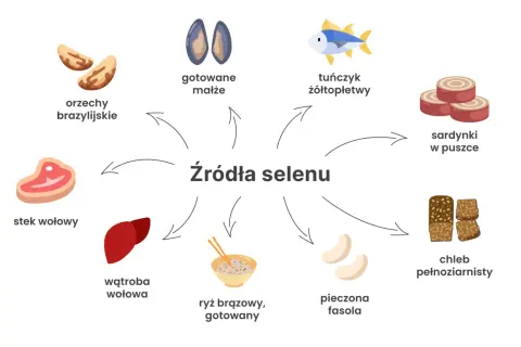 Orzechy brazylijskie, małże, tuńczyk, sardynki, stek wołowy, wątroba, ryż, fasola i chleb pełnoziarnisty to świetne źródła selenu.