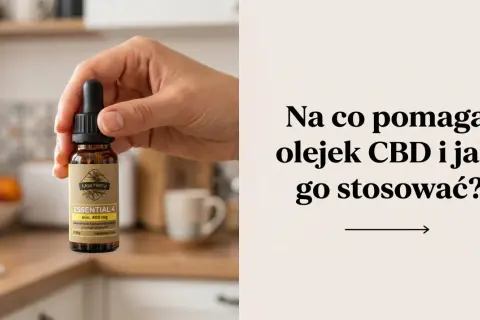 Dłoń trzyma buteleczkę olejku CBD. Tekst pyta: "Na co pomaga olejek CBD i jak go stosować?".