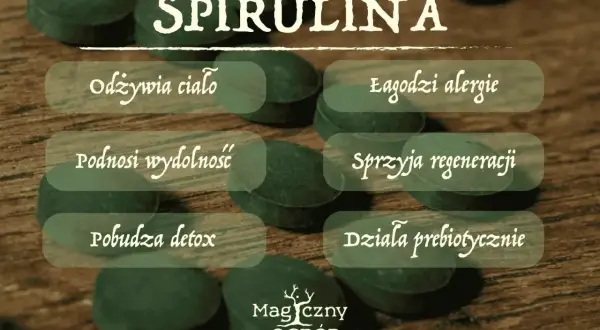 Spirulina: odżywia ciało, łagodzi alergie, podnosi wydolność, sprzyja regeneracji, pobudza detox, działa prebiotycznie. Dowiedz się, spirulina co to za cud natury!
