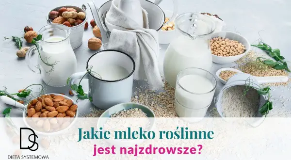 Różne rodzaje mleka roślinnego: migdałowe, sojowe, ryżowe, owsiane. Zastanawiasz się, jakie mleko roślinne jest najzdrowsze?