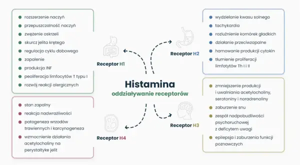 Nietolerancja histaminy objawy: rozszerzenie naczyń, zapalenie, reakcje alergiczne, zaburzenia snu, problemy z koncentracją.