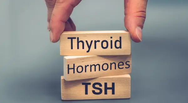 Dłonie układają kostki z napisami "Thyroid", "Hormones", "TSH". Dowiedz się, jaki poziom TSH jest niebezpieczny.