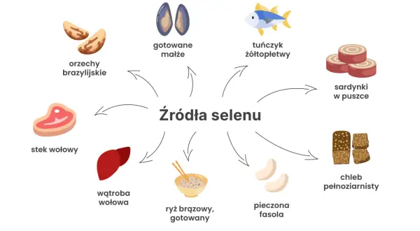 Orzechy brazylijskie, małże, tuńczyk, sardynki, stek wołowy, wątroba, ryż, fasola i chleb pełnoziarnisty to świetne źródła selenu.