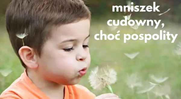Chłopiec dmucha w dmuchawiec, który symbolizuje mniszek lekarski właściwości.