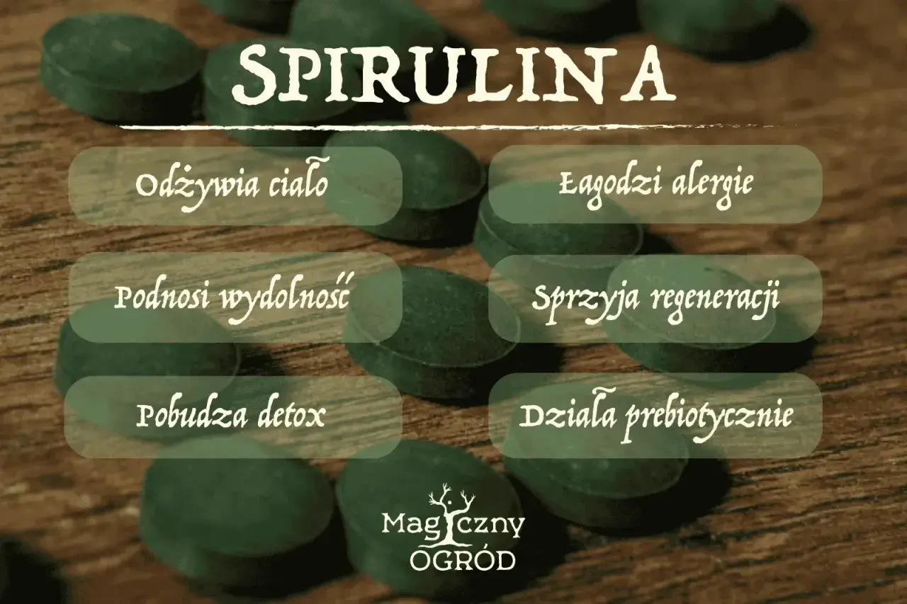 Spirulina: odżywia ciało, łagodzi alergie, podnosi wydolność, sprzyja regeneracji, pobudza detox, działa prebiotycznie. Dowiedz się, spirulina co to za cud natury!