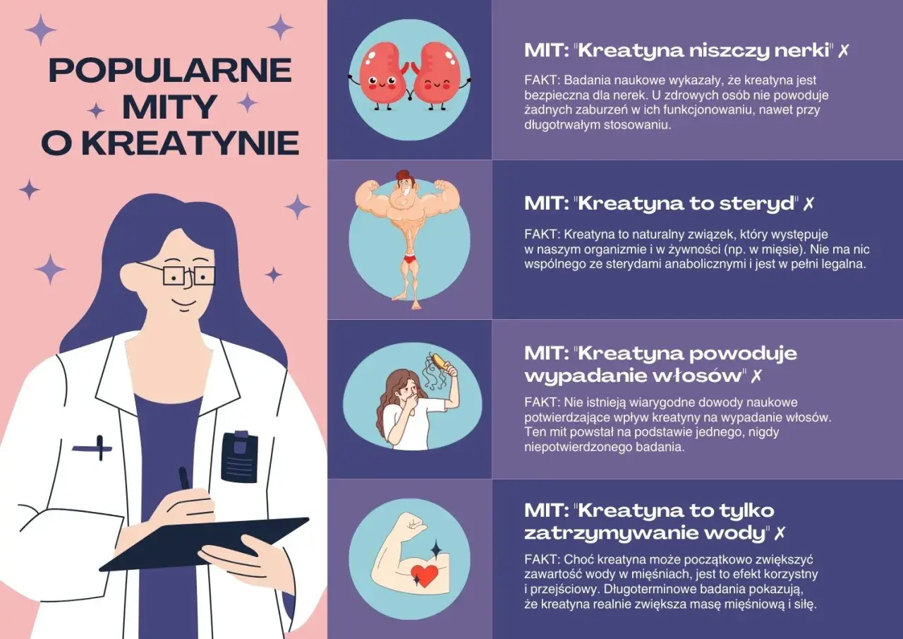 Kreatyna co daje? Grafika obala mity: nie niszczy nerek, nie jest sterydem, nie powoduje wypadania włosów, a wręcz zwiększa masę mięśniową.