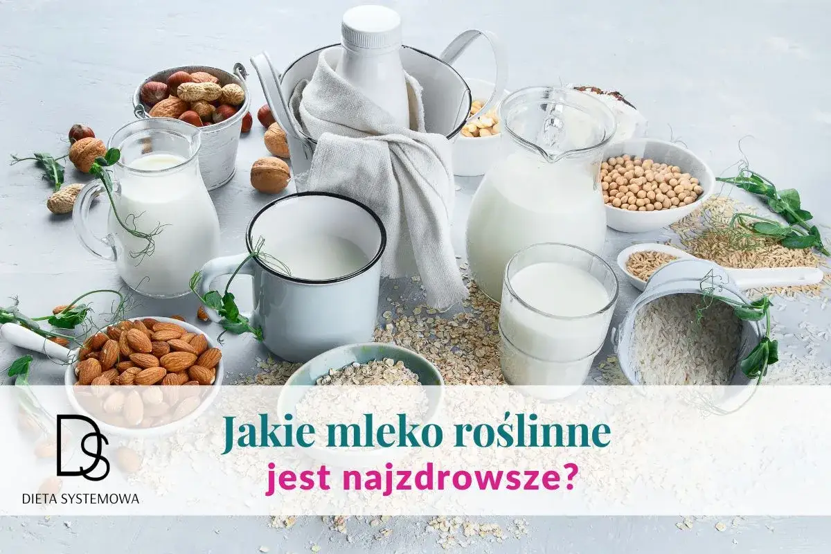 Różne rodzaje mleka roślinnego: migdałowe, sojowe, ryżowe, owsiane i orzechy. Dowiedz się, jakie mleko roślinne jest najzdrowsze.