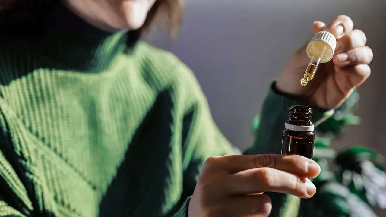 Kropla olejku z oregano na pipetce, gotowa do użycia. Wiele os&oacute;b stosuje olejek z oregano na przeziębienie i odporność.