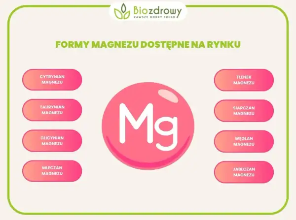Różne formy magnezu: cytrynian, taurynian, glicynian, mleczan, tlenek, siarczan, węglan, jabłczan. Jaki magnez najlepszy dla Ciebie?