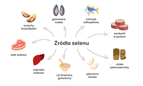 Orzechy brazylijskie, małże, tuńczyk, sardynki, stek wołowy, wątroba, ryż, fasola i chleb pełnoziarnisty to świetne źródła selenu.